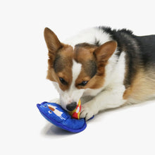 Load image into Gallery viewer, Pup Pals Sea Lion