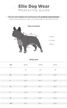 Load image into Gallery viewer, Light Grey Raincoat