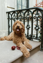 Load image into Gallery viewer, Rope Toy Burgundy