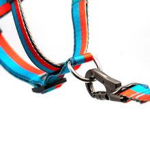 Load image into Gallery viewer, Ikonic Rove Step in Harness