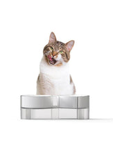 Load image into Gallery viewer, S-type Tilted Cat Double Bowl (Green)