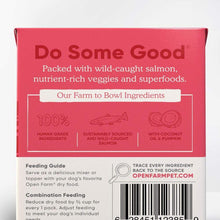 Load image into Gallery viewer, Salmon Rustic Stew 12.5oz