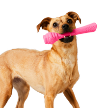 Load image into Gallery viewer, Scented Berry Hive Fetch Stick Dog Toy