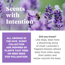 Load image into Gallery viewer, Scented Lavender Hive Chew for Large Dogs