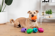 Load image into Gallery viewer, Scented Mango Hive Chew for Large Dogs