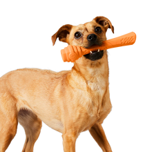 Load image into Gallery viewer, Scented Mango Hive Fetch Stick Dog Toy