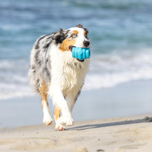 Load image into Gallery viewer, Scented Vanilla Hive Chew for Large Dogs