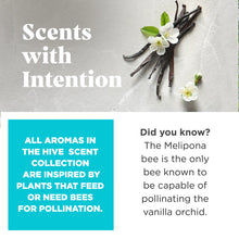 Load image into Gallery viewer, Scented Vanilla Hive Fetch Stick Dog Toy