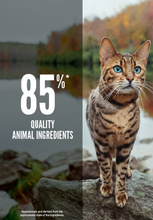 Load image into Gallery viewer, Six Fish Cat Food (1.8kg)