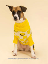Load image into Gallery viewer, Smiley Sweater