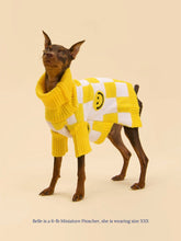 Load image into Gallery viewer, Smiley Sweater