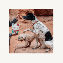 Load image into Gallery viewer, Superfood Cod Crisps - Cod & Strawberry 3oz