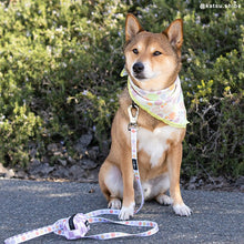 Load image into Gallery viewer, The Checked Out Leash (Small)
