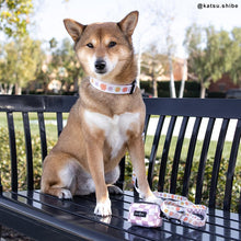 Load image into Gallery viewer, The Checked Out Leash (Small)