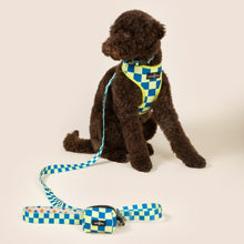 Load image into Gallery viewer, The Have a Nice Day Leash