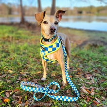 Load image into Gallery viewer, The Have a Nice Day Reversible Harness