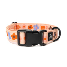 Load image into Gallery viewer, The Let's Groove Collar