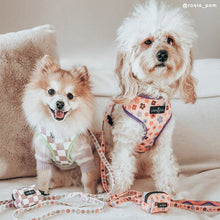 Load image into Gallery viewer, The Let's Groove Leash