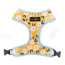Load image into Gallery viewer, The Little Lamb Reversible Harness