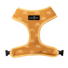 Load image into Gallery viewer, The Looking Sharp Harness