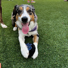 Load image into Gallery viewer, Toronto Maple Mutts