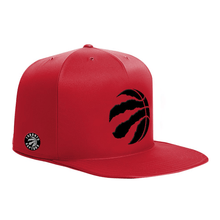 Load image into Gallery viewer, Toronto Raptors Pet Bed