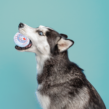 Load image into Gallery viewer, Toronto Woofjays