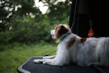 Load image into Gallery viewer, Trip Collar (Green)