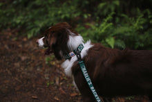 Load image into Gallery viewer, Trip Collar (Green)