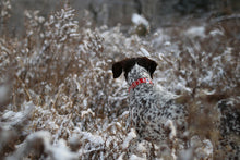 Load image into Gallery viewer, Trip Collar (Red)