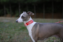 Load image into Gallery viewer, Trip Collar (Red)