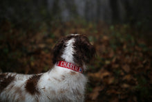 Load image into Gallery viewer, Trip Collar (Red)