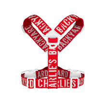 Load image into Gallery viewer, Trip Harness (Red)