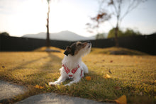 Load image into Gallery viewer, Trip Leash (Red-One Size)