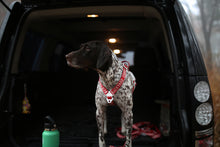 Load image into Gallery viewer, Trip Leash (Red-One Size)