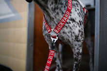 Load image into Gallery viewer, Trip Harness (Red)