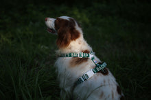 Load image into Gallery viewer, Trip Harness (Green)