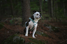 Load image into Gallery viewer, Trip Harness (Green)