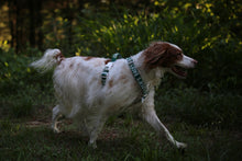 Load image into Gallery viewer, Trip Harness (Green)