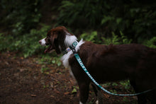 Load image into Gallery viewer, Trip Leash (Green-One Size)