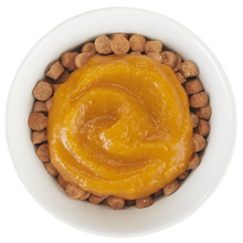 Load image into Gallery viewer, Tummy Topper Pumpkin Puree & Ginger 1.5oz