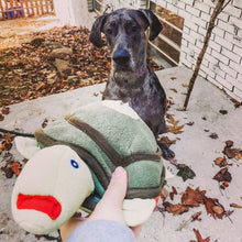 Load image into Gallery viewer, Turtle Snuffle Toy