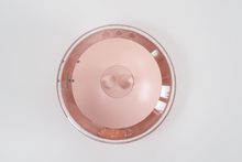 Load image into Gallery viewer, UFO Treat Dispenser