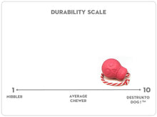 Load image into Gallery viewer, USA-K9 Skull Durable Rubber Chew Tug Toy