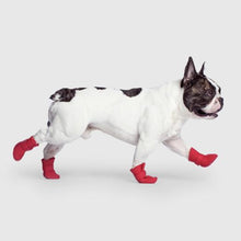 Load image into Gallery viewer, Unlined Wellies Dog Boots (Red)