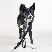 Load image into Gallery viewer, Visibility Leash (Black)