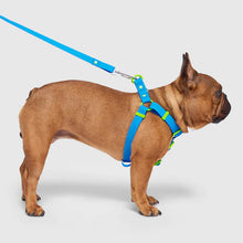 Load image into Gallery viewer, Waterproof Harness (Blue)