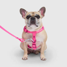 Load image into Gallery viewer, Waterproof Harness (Pink)
