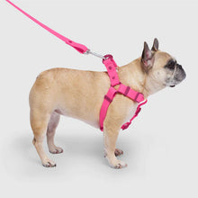 Load image into Gallery viewer, Waterproof Harness (Pink)