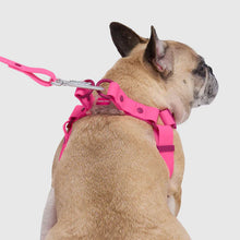 Load image into Gallery viewer, Waterproof Harness (Pink)